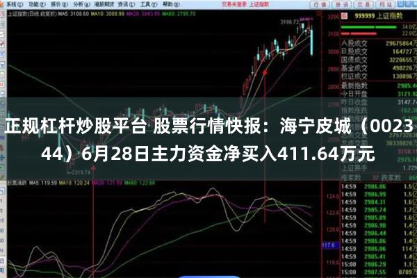 正规杠杆炒股平台 股票行情快报：海宁皮城（002344）6月28日主力资金净买入411.64万元