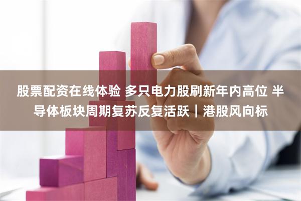 股票配资在线体验 多只电力股刷新年内高位 半导体板块周期复苏反复活跃｜港股风向标