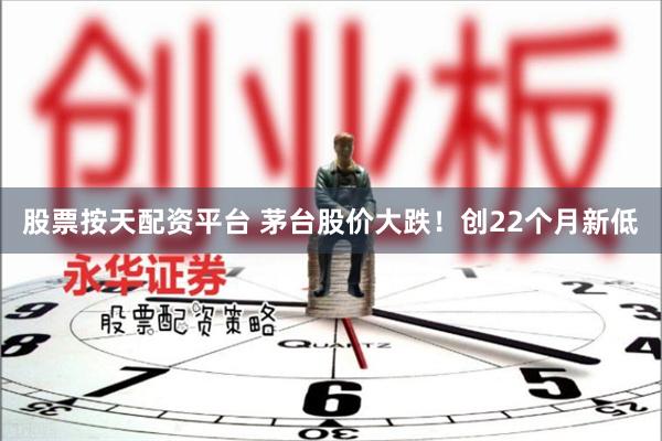 股票按天配资平台 茅台股价大跌！创22个月新低