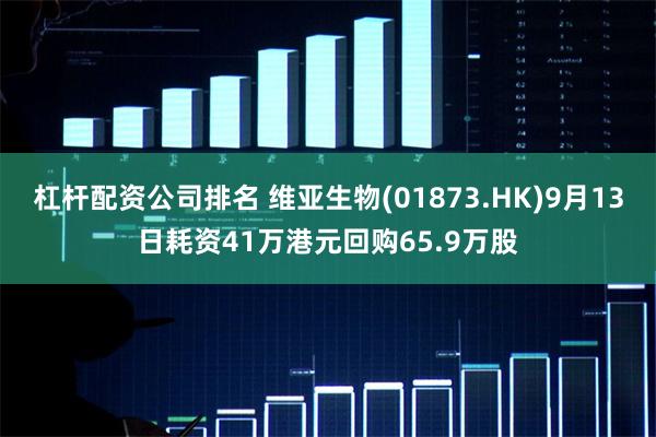 杠杆配资公司排名 维亚生物(01873.HK)9月13日耗资41万港元回购65.9万股