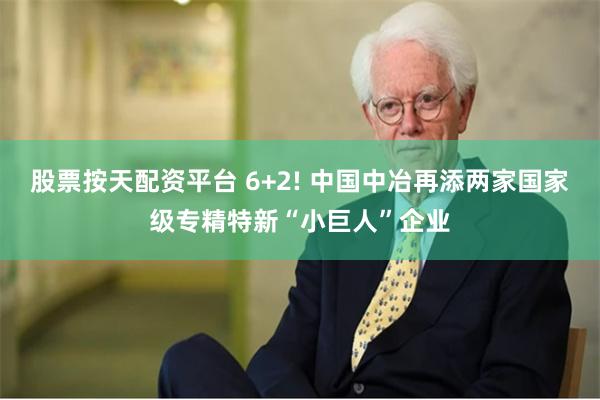 股票按天配资平台 6+2! 中国中冶再添两家国家级专精特新“小巨人”企业