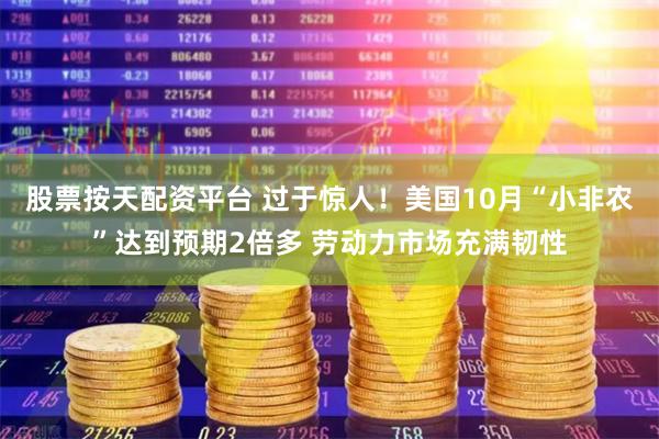 股票按天配资平台 过于惊人！美国10月“小非农”达到预期2倍多 劳动力市场充满韧性