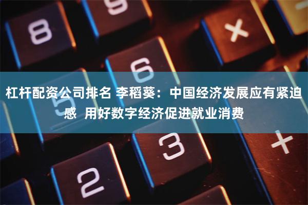 杠杆配资公司排名 李稻葵：中国经济发展应有紧迫感  用好数字