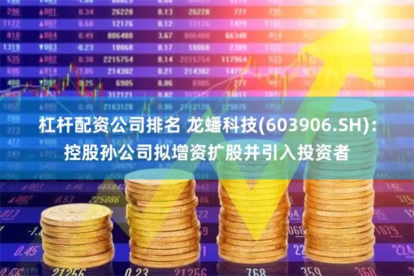 杠杆配资公司排名 龙蟠科技(603906.SH)：控股孙公司