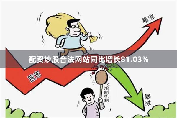 配资炒股合法网站同比增长81.03%